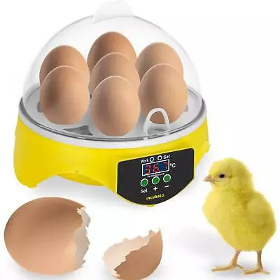 Incubato Egg Incubator Egg Hatcher 7 Eggs Including Egg Candler • £39.97