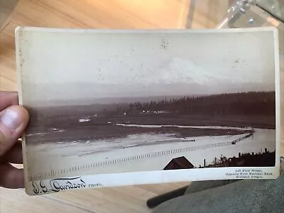 Rare Big 1885 Cabinet Photo By Davidson Mt Ranier From Tacoma Washington • $0.99