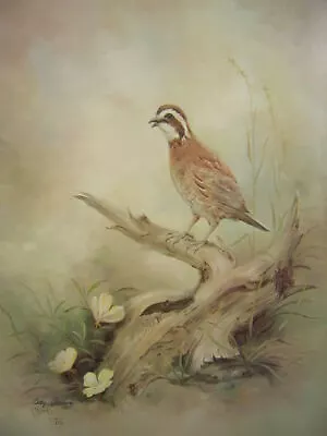 Betty Allison Morning Call Bobwhite Quail Art Print • $19.95