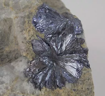 $180 • Buy EXCELLENT MOLYBDENITE CRYSTALS - 9.6 Cm - HENDERSON MINE, COLORADO 26262