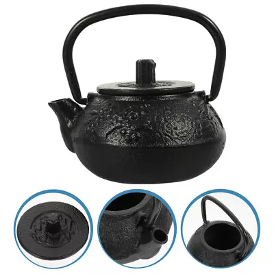  Tea Kettle Pot With Infuser Cast Iron Teapot Japanese-style • £11.99