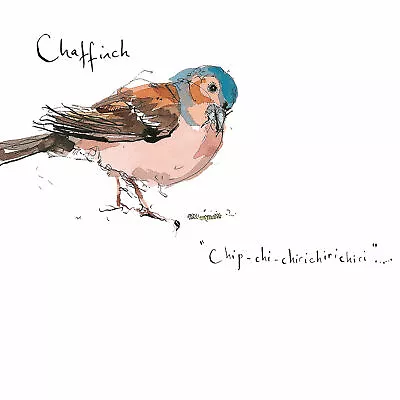 Madeleine Floyd - The Dawn Chorus - Chaffinch • £5.24