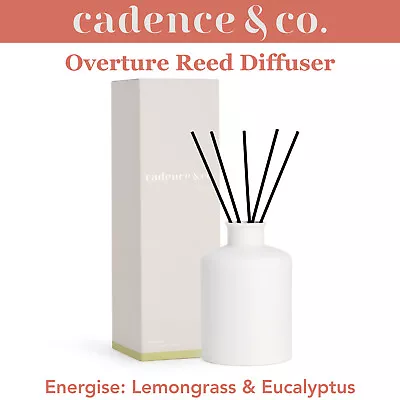 Natural Room Freshener Reed Diffuser Energise Lemongrass & Eucalyptus W/ Oils • $37.95