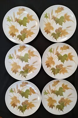Vintage Melmac Beverly Prolon Dinner Plates Fall Maple Leaf Wheat 10  Lot Of 6 • $16.99