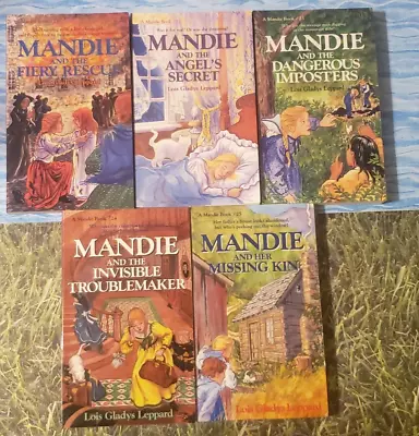 Mandie - Lois Gladys Leppard - Lot Of 5 Paperback Books - Boxed Set - #21-#25 • $19.98