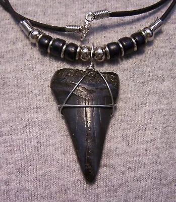 Shark Tooth Necklace 1 11/16 Mako Sharks Teeth Jaw Fossil Megalodon Dive Polishd • $19