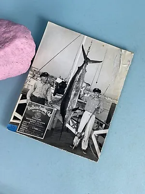 Balboa Angling Club 1950 Prize Marlin Photo Glen R. Soden Mounted Photo • $26.35