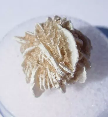 $2.29 • Buy Desert Rose Selenite Crystal Specimen Healing Stone Cluster 1.96 Grams