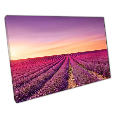 Lavender Flower Fields At Sunset Valensole France Europe Canvas Wall Art Print • £10.78