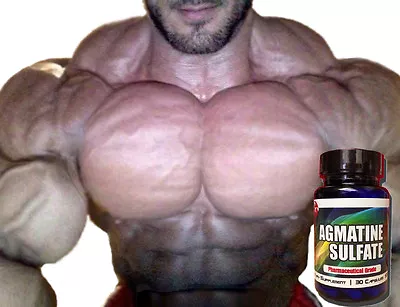£24.75 • Buy PRO Force AGMATINE SULFATE STACK #1 Nitric Oxide Factor Bodybuilding Supplements