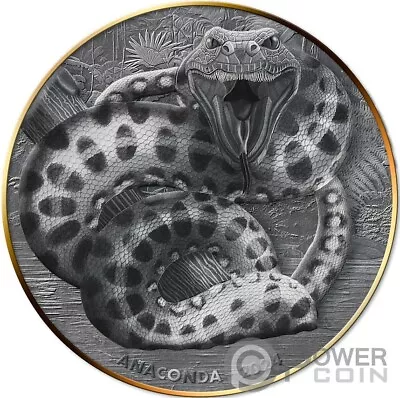 ANACONDA Double Giant Predators Silver Coin 10 Vatu Vanuatu 2024 • $139.95