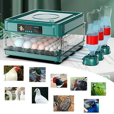 NEW Digital 12 Eggs Incubator Humidity Control Automatic Turning Chicken Hatcher • £41.42
