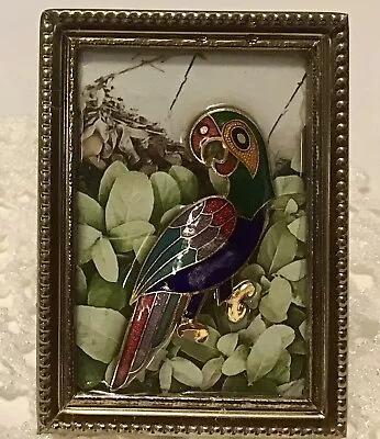 Vintage Jewelry & Resin Framed Art  Parrot Small 3.5” X2.5” Mixed Media Collage • $10