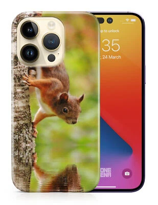 $9.95 • Buy Case Cover For Apple Iphone|cute Adorable Squirrel Rodent #6