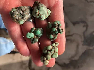5 Large Nuggets Of Damele Turquoise/Chalcosiderite/Variscite Natural Rough 35gTW • $350
