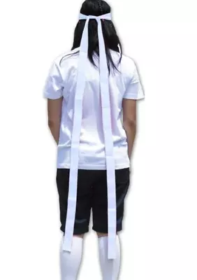 Japanese Traditional Head Band Long 300cm Hachimaki White From Japan • $9.99