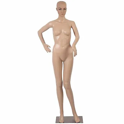 £119.99 • Buy F1 Full Body Dummy Mannequin Retail Dressmaker Lady Female Shop Window Display 