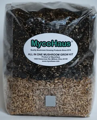 MycoHaus All In One 5 Pound Spawn Bag Rye & Compost Mushroom Substrate Grow Kit • $24.99