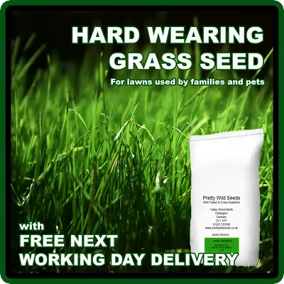 5kg GRASS SEED PRO HARD WEARING TOUGH BACK LAWN GARDEN  CHILDREN DOGS 5 Kg   • £25.99