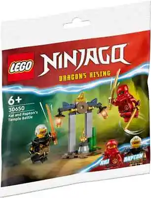 LEGO Ninjao (30650): Kai And Rapton’s Temple Battle Polybag - New/Sealed/Ninja • $12.14