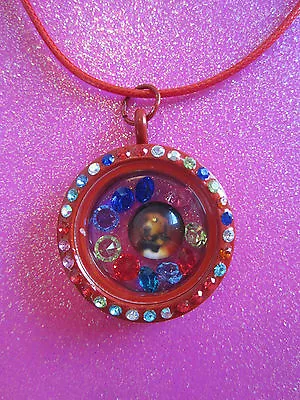 Living Memory Crystal Round Locket With 10 Crystals And Charm USA • $14.95