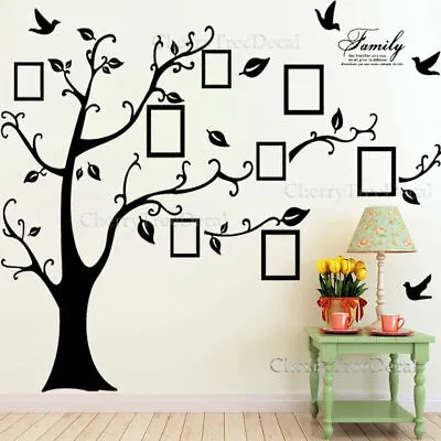 Huge Family Tree Wall Stickers Birds Photo Frames Art Decals Home Decor UKSeller • £8.99