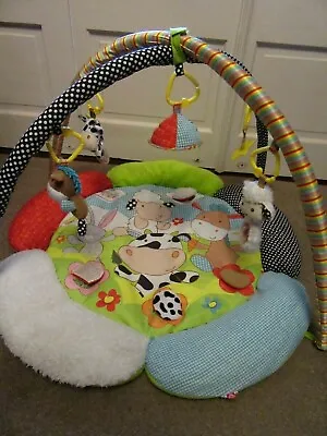 Playmat And Arch.ELC.0+months.Blossom Farm.5 Detachable Toys.3 Play Modes.VGC.* • £14.99