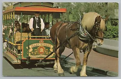 Theme Park & Expo~Horse-Drawn Streetcar~Old Dobbin On Main St~Vintage Postcard • $2.70