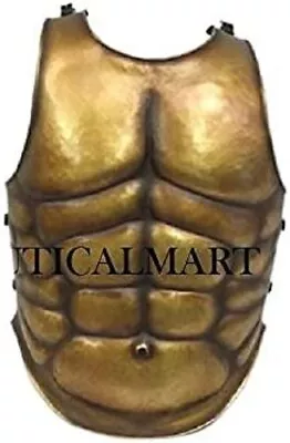 LARP Armour Muscle Breastplate Cuirass Body Armour Roman Greek Medieval Arm • $240