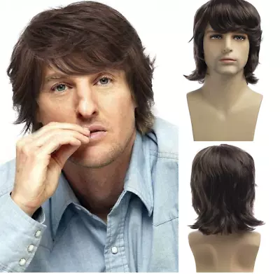 Baruisi Mens Wig Brown Short Layered Fluffy Hair Wig Natural Synthetic Cosplay • $15.99