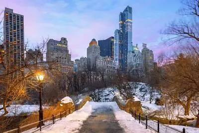 Manhattan New York City Skyline From Central Park Photo Photograph Poster 36x24 • $13.98