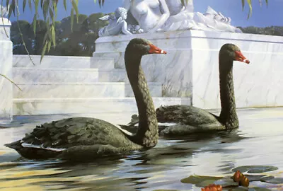 Mario Fernandez Of Man And Nature II - Black Swans Remarqued • $419.99