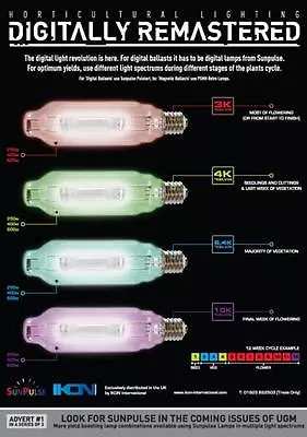 SunPulse 600w 3K4k 6.4K Pulse Start MH Metal Halide Lamp Bulb Grow Light • $49.99