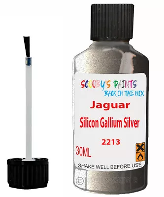 For Jaguar All Models Silicon Gallium Silver Code 2213 Car Repair Touch Up Paint • £8.88