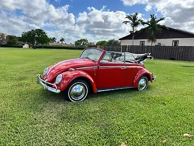 1965 Volkswagen Beetle - Classic  • $20000