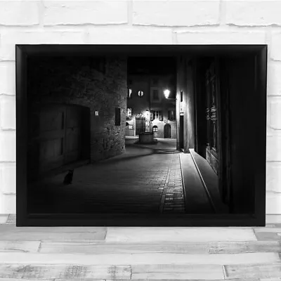 Curious Cat Street Black White Streetlight Dark Wall Art Print • $12.42