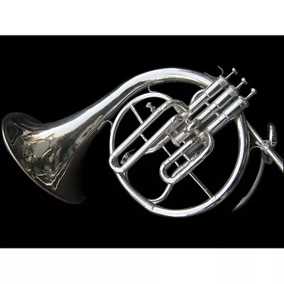 Horn French (mellophone ) In Bb Pitch+f Pitch With Extra Slide+case+ Free Ship • $264.93