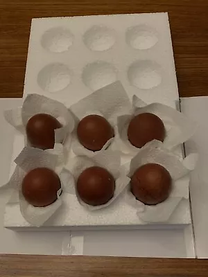 12 Copper Neck Maran Hatching Eggs. Free Range • £17