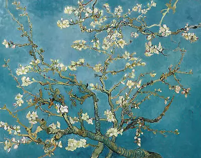 Almond Blossoms By Vincent Van Gogh Art Print • $11.95