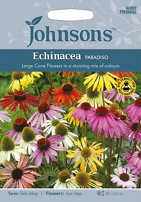 Echinacea Seeds 'Paradiso Mixed' By Johnsons Free UK Delivery Flowers Purpurea • £3.80