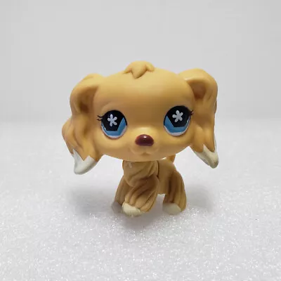 LPS Brown Cocker Spaniel Dog #748 Blue Eyes Mini Pet Shop Rare Puppy  Toys Gift • £10.79