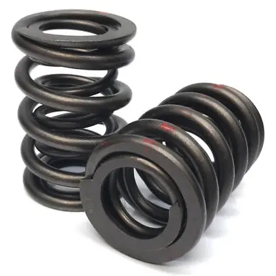 Renegade Valve Spring Set 99893-16; EnduroTec 391 Lbs/in Dual Spring 1.460  OD • $78.17