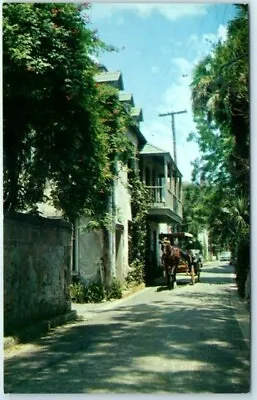 Postcard Romantic Aviles Street With A Horse-Drawn Surrey St. Augustine FL • $3.43