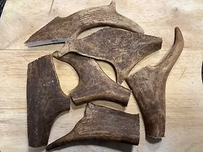 £4.95 • Buy Deer Antler Dog Chew. 100% Natural. From The UK. 70-80 Grams.