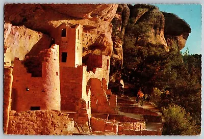 Arizona - Cliff Palace Mesa Verde National Park - Vintage Postcard 4x6 - Posted • $6.99