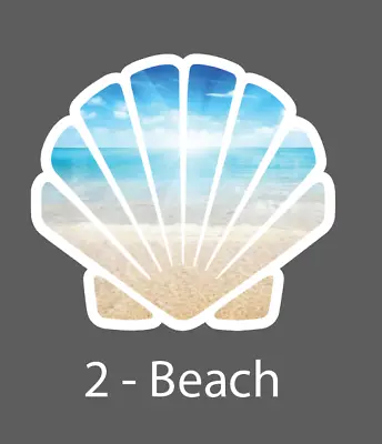 Shell Sticker Shell Decal Sea Shell Water Bottle Laptop Sticker • $3