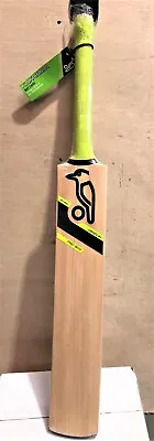 Kookaburra OBSIDIAN Pro 900 Cricket Bat- Sizes 6 & Harrow & SH • $69.50
