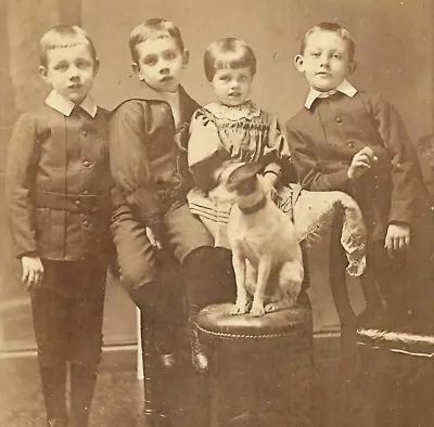 Cabinet Card Photo Children Jack Russell Terrier Dog Whittle Sheffield 1890s • £32.99