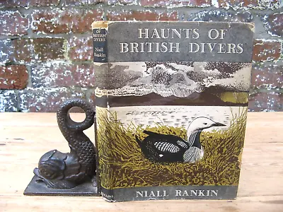 1947 Haunts Of British Divers- Niall Rankin Ornithology 1st Edition • £7