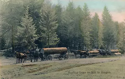 Hauling Logs To Mill In Oregon. Or. Horse Drawn Log Wagons- With Large Logs. • $8.95